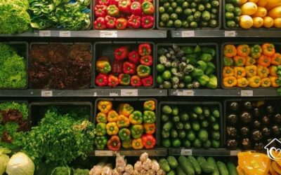 6+ Rekomendasi Aplikasi Belanja Sayur Online